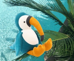 toucan lifestyle